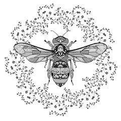 bee in a floral lace frame. vector illustration