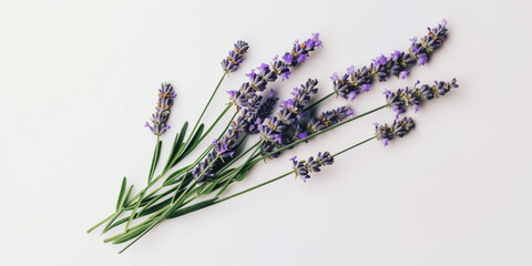 Harmony in White: Lavender Blooms for Tranquil Self-Care Moments. AI Generated Art. Wallpaper, Background. Concept Art with Whitespace for Beauty and Health.