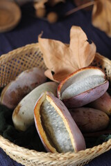 A wild fruit in the Old World from August to October, having a milky aroma, many seeds, and white flesh