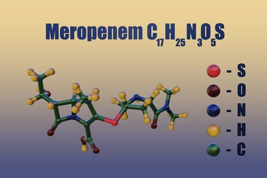Structural chemical formula and molecular model of meropenem, a carbapenem-type antibiotic. 3d illustration