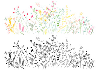 Set of hand drawn meadow flowers and plants. Vector illustration.