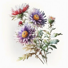 Watercolor aster illustration on white background. Flower art. Ai generated