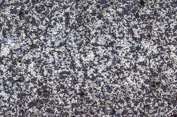 Peinture blanche sur asphalte 