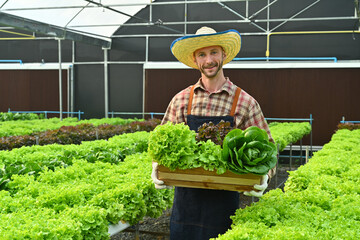 Agribusiness owner holding a wooden crate full of fresh organic vegetables standing in greenhouse plantation