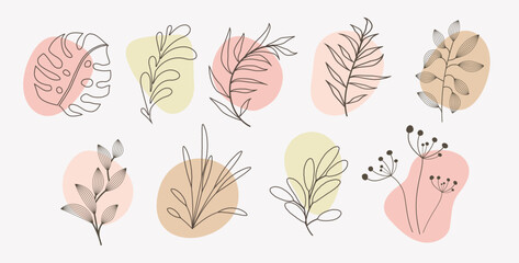 Vector abstract organic story highlight cover templates isolated on white background. Botanical illustration in pastel neutral earth tone colors. Hipster Danish design elements set