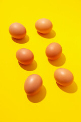 Main ingredient for cooking different dishes- eggs