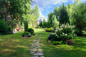 garden summer view with stone pathway, hydrangea paniculata 