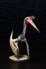 The Pterosaur  dinosaur  in the dark © meen_na