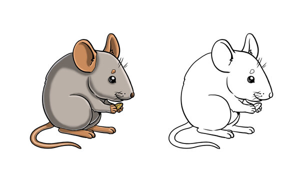 Cute mouse to color in. Template for a coloring book with funny animals. Coloring page for kids.
