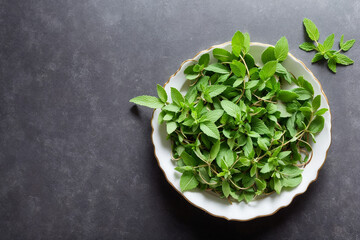 mint, leaf, herb, plant, peppermint, leaves, fresh, nature, herbal, organic, garden, green