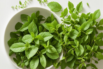 mint, leaf, herb, plant, peppermint, leaves, fresh, nature, herbal, organic, garden, green