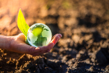 Hand holding glass Earth globe over dry soil. Earth Day environment concept. Golden sunlight and...