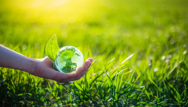 Hand holding glass Earth globe in green grass. Earth Day environment concept. Golden sunlight and green nature with crystal planet Earth in hand for environmental protection and care.