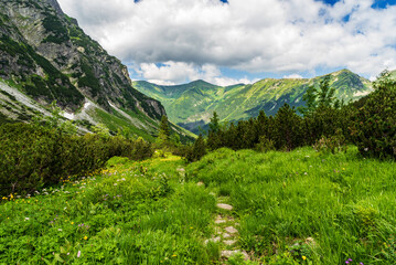 Liptovske kopy mountain ridge from Hlinaks dolina valley in Tatra mountains in Slovakia