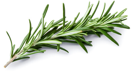 Fototapeta premium rosemary leaves. Fresh vegetables isolated on white background. Healthy food concept. Generative AI