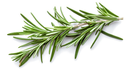 rosemary leaves. Fresh vegetables isolated on white background. Healthy food concept. Generative AI