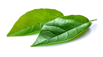 Obraz premium chaplu_leafs. Fresh vegetables isolated on white background. Healthy food concept. Generative AI