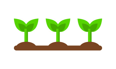 Fototapeta na wymiar Green plant seedling in soil ground garden agriculture icon flat vector design