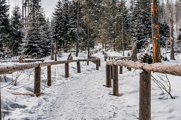 Droga w górach, szlak w Tatrach Polskich do Morskiego Oka w zimie. Tatrzański Park Narodowy