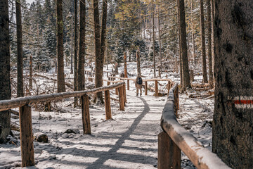 Fototapeta Droga w górach, szlak w Tatrach Polskich do Morskiego Oka w zimie. Tatrzański Park Narodowy obraz