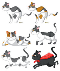 Set of cat cartoon character