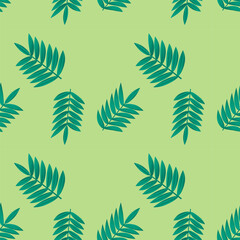 Fototapeta na wymiar Seamless vector pattern with acacia branches and green background. Vegetal nature print for textile, paper.