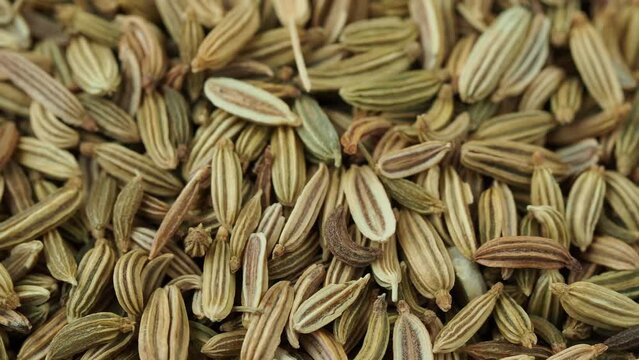 Dried fennel seeds pile close up