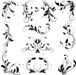 Black delicate abstract floral graphic with curly branches and ornamental swirl leaves. Beautiful floral collection.