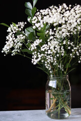 Simple composition still life with white gypsophila flowers in a glass vase. Dark background with copy space. 