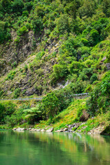A green mountain river flowing along a forested cliffs of a gorge. Waioeka Gorge, North Island, New Zealand