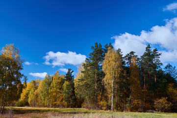 Rural landscape of wet meadows and areas in the forest