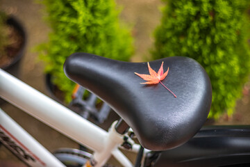 落ち葉と自転車のサドル　秋のイメージ