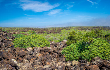 Fototapeta na wymiar View on the volcanic landscape of northern Lanzarote, one of the Canary Islands of Spain