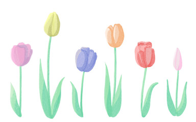 Set of watercolor hand drawn tulips flowers and leaves. Spring elements with soft pastel colors concept. 