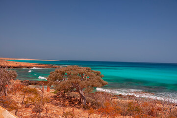  Exotic wild beach with emerald water. Island in the Indian Ocean.