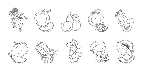 Fototapeta na wymiar Fruits and berries doodle set Vector black and white illustration isolated on a white background
