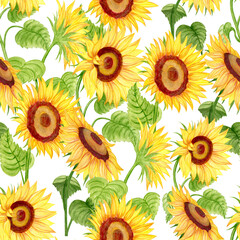 Seamless floral pattern-238. Sunflowers on a white background 5, hand drawn watercolour...