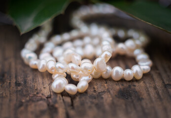 Natural freshwater pearls of various shapes and colors are photographed on a wooden board and a...