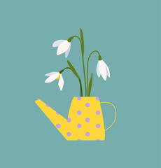 Bouquet of snowdrops in watering can. Early spring flowers. Blossom nature wildflowers. Vector illustration