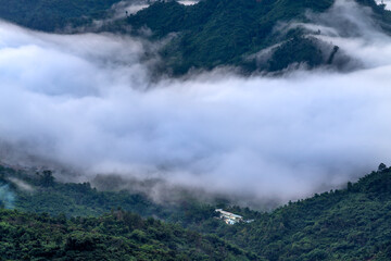Fototapeta na wymiar Early morning in a cloudy valley in Nam Tra My district, Quang Ngai province, Vietnam