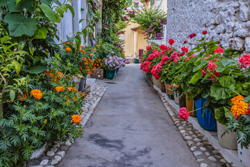 Fototapeta na wymiar Flower pots on a narrow street in Moraitika seaside town on Corfu Island, Greece