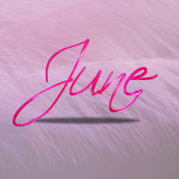 ccJun in pink theme