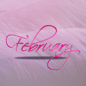 February in pink bacground