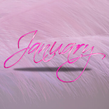 January in pink theme