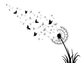 Naklejka premium Dandelion with flying butterflies and seeds, vector illustration.Conceptual illustration of freedom and serenity
