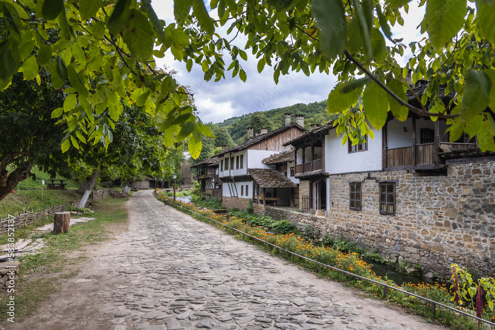 Canvas Prints Main alley in Etar folk village, Bulgaria