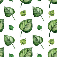 Seamless pattern with papaver poppy flowers