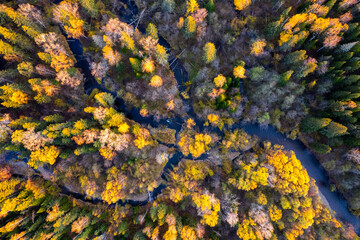 Small mountain river in autumn forest from a high point of view.