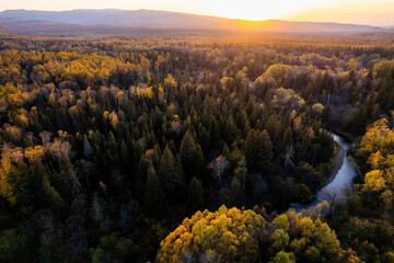 Drone view to autumn forest and small mountain river in the Far East of Russia