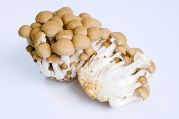 ぶなしめじの断面